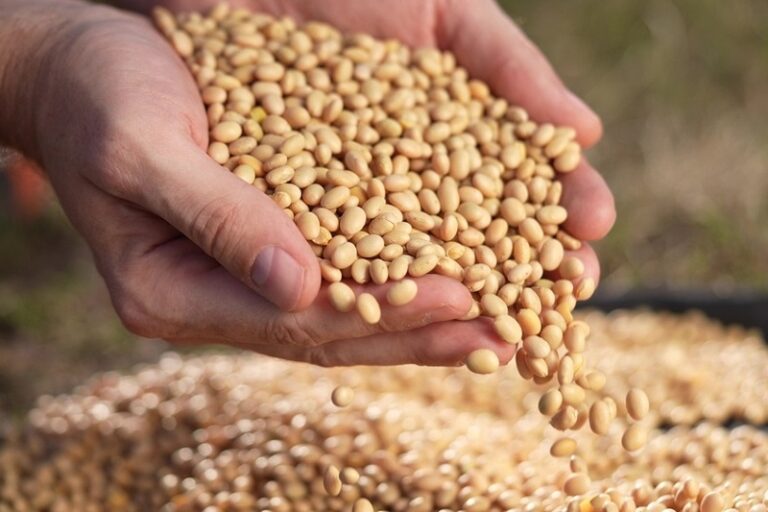 蛋白質-蛋白質補充品-蛋白質不足-營養補充品