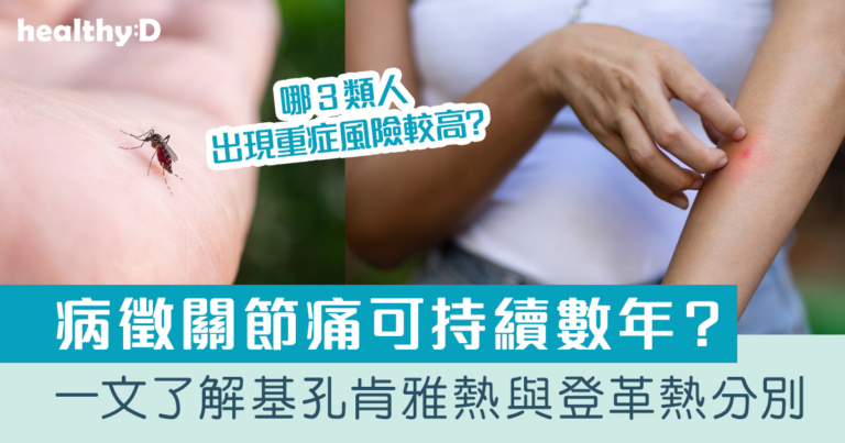 基孔肯雅熱｜本港昨無新增感染個案 ｜基孔肯雅熱與登革熱有何分別？哪3類人重症風險較高？