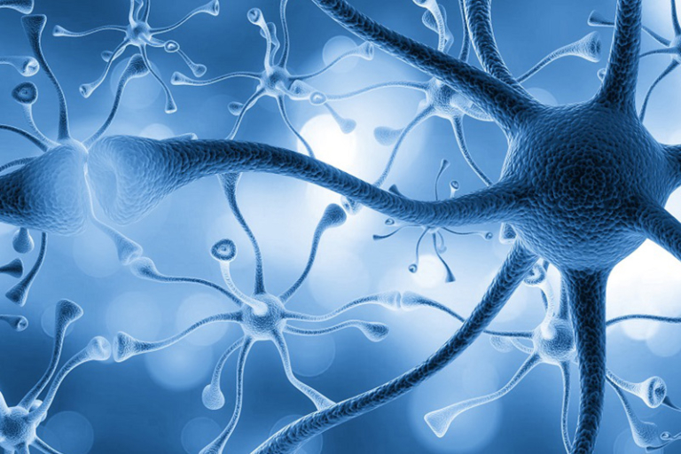 雲芝功效-免疫細胞-免疫系統-免疫力-癌症指數-癌症治療-癌症治療免疫保健品-癌症治療副作用