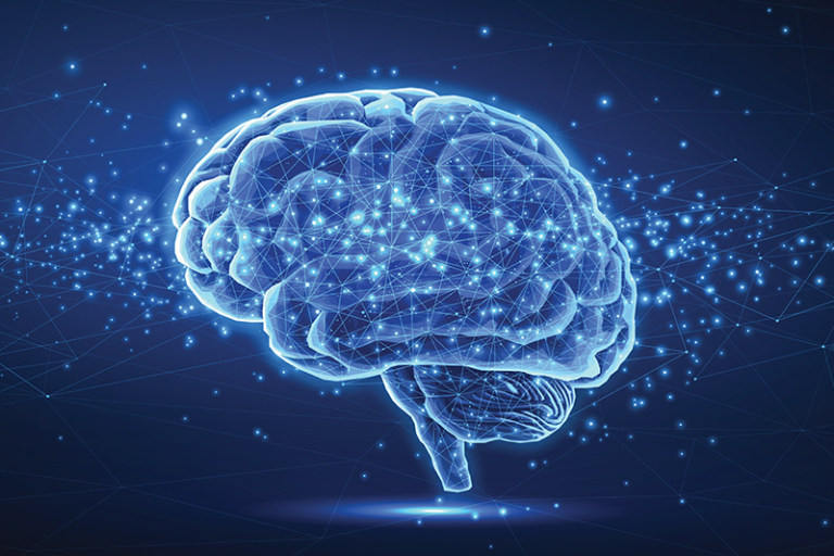 腦退化-腦退化研究-學歷