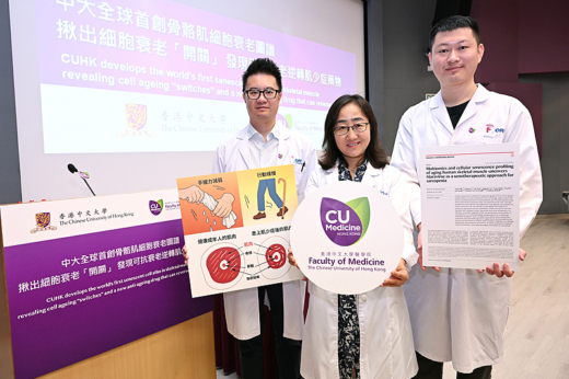 肌少症治療｜中大全球首創骨骼肌細胞衰老圖譜  發現可抗衰老逆轉肌少症藥物