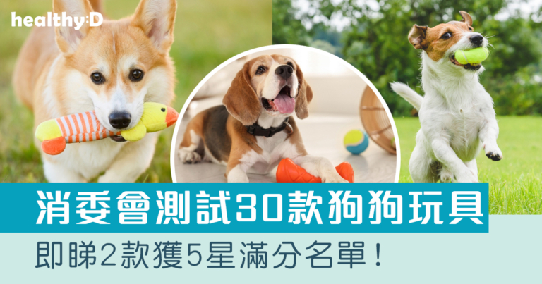 消委會測試30款狗狗玩具 2款獲5星滿分｜有樣本檢出具致癌性六價鉻 即睇名單！