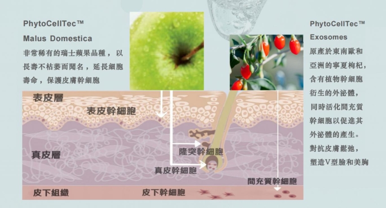 逆齡抗老產品推薦-瑞士生物科研-珍稀植物萃取出活性成分-淡紋緊緻-時光瑞蘋凍Swiss-StemGlow-Jelly-Smartol腦活益