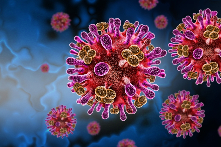 尼帕病毒｜印度疑爆發人傳人感染｜死亡率高達75％！有冇藥醫？尼帕病毒症狀及預防方法一文睇