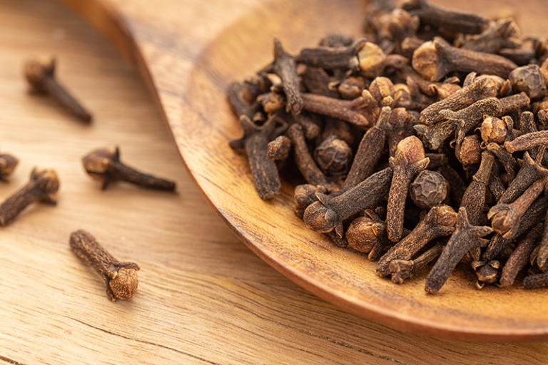 丁香能止牙痛？中醫拆解丁香多重功效