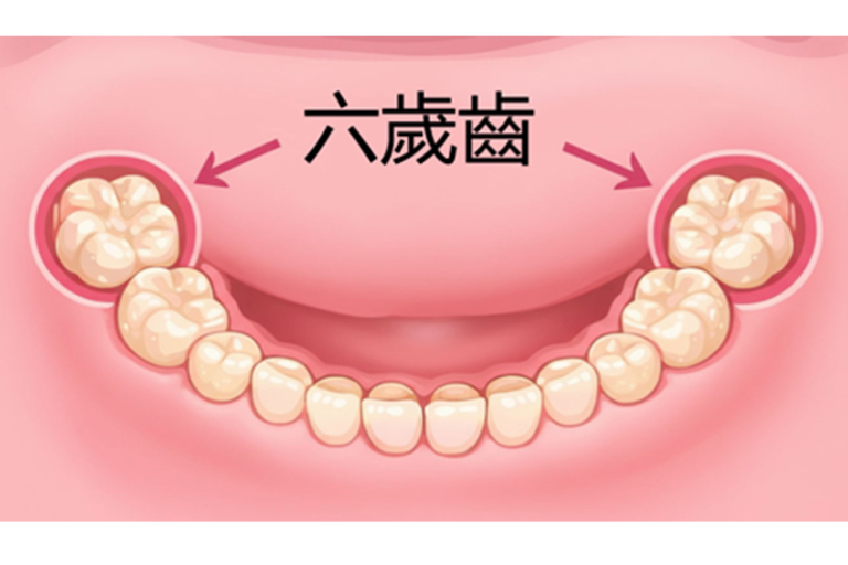 小朋友換牙順序？牙科醫生拆解兒童換牙期注意事項：給家長的專業建議
