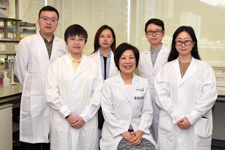 港大醫學院發現治療脂肪肝新藥「一藥多用」 有助預防及抑制肝癌