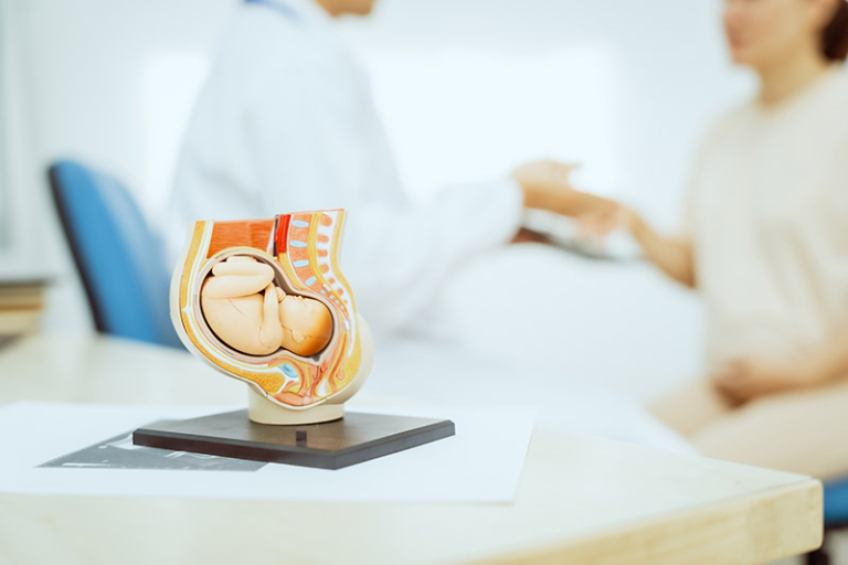 自然受孕的關鍵 讓精子到達「正確」位置