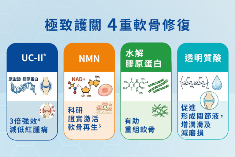 4重軟骨修復　關節全面升級